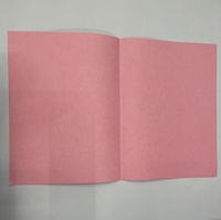 Papelería de Oficina de Buena Calidad, 22 x 31 cm, 250 Piezas, Carpetas de Papel de Colores Variados