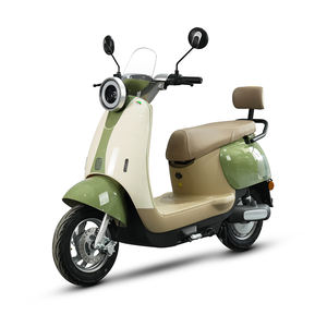 Scooters électriques CKD SKD 10 pouces, prix de gros du fabricant, 600/800W, vitesse 45 km/h, cyclomoteur électrique fourni par l'usine - Product Image 5