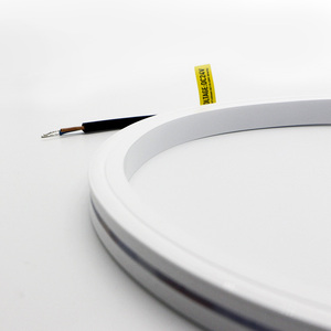 IP68 Waterproof Mini 6000K Neon LED Flex Strip PVC/<strong>Silicone</strong> 24V DC LED Neon Flex for Landscape or Outdoor Use - Product Image 5