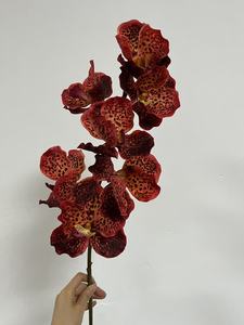 Vente flash, <span class=keywords><strong>orchidée</strong></span> de haute qualité, toucher réel, <span class=keywords><strong>orchidée</strong></span> <span class=keywords><strong>papillon</strong></span> pour décoration de mariage - Product Image 3