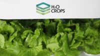 Nouveau style de tour hydroponique verticale d'intérieur à 4 couches système de culture domestique à effet de serre agricole simple vente en gros
