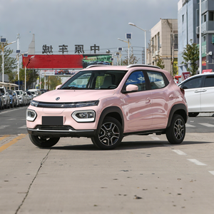 Dongfeng Nami BOX 2022, mini SUV électrique revisité, modèle standard 201KM, <span class=keywords><strong>véhicule</strong></span> électrique compact à hayon pour les déplacements urbains - Product Image 1
