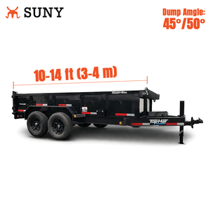 Гидроцилиндр подъемного механизма самосвального прицепа PH416, 6 тонн, толстостенный, двойного действия, с пальцами и втулками - Product Image 5