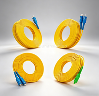Câble de raccordement en fibre optique monomode SC Simplex UPC SM 2,0 mm 3,0 mm FTTH