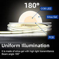 Bande LED Flexible 24V 504 COB 5M avec Connectivité USB, Blanc/Blanc Chaud, Télécommande, Éclairage Uniforme, Dimmable