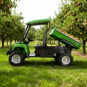 電動UTV 4x4 PB10C オートマチック EEC認証 ヘビーデューティー サイドバイサイド ダンプベッド搭載 強力トルク 中国ヤティアン工場製 - Product Image 6