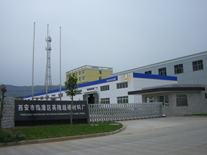 Disco Abrasivo de Diamante de Alta Qualidade PE OEM para Processamento de Vidro 100mm de Diâmetro Alta Dureza - Product Image 4