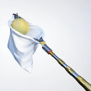 Nouveauté Récolteuse de fruits semi-automatique innovante, gain de temps et de main-d'œuvre, <span class=keywords><strong>en</strong></span> alliage d'aluminium, <span class=keywords><strong>hauteur</strong></span> réglable, taille du port 82,6 pouces - Product Image 2