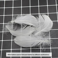 Plumes d'oie flottantes colorées DIY, directement du fabricant, pour boîte cadeau macaron rêveuse, garniture décorative, 100 pièces/paquet