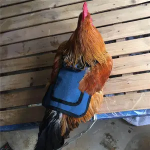 Geerduo 애완 동물 프로모션 스톡 조정 가능한 닭 암탉 안장 깃털 보호대 스웨터 옷