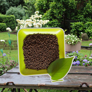 <span class=keywords><strong>ปุ๋ย</strong></span>อินทรีย์ละลายน้ำ<span class=keywords><strong>ซิลิคอน</strong></span> - Product Image 3