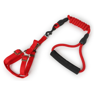 Nuova Linea di Collari e Guinzagli per Cani in Poliestere Personalizzati all'Ingrosso - Product Image 6