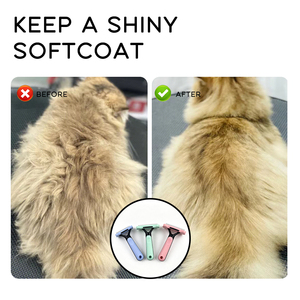 Nouveaux produits de toilettage pour animaux de compagnie en acier inoxydable, peigne auto-nettoyant pour chiots et chiens, brosse pour animaux de compagnie - Product Image 6