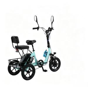 Tricycle électrique pliable à 3 roues de 14 pouces, 48V 350W, <span class=keywords><strong>pour</strong></span> adultes, 2 places, siège arrière amovible, 30 km/h, carrosserie ouverte, charge en 3h - Product Image 1