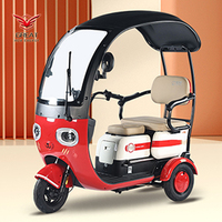 Tricycle domestique 800W, petit scooter à trois places, tricycle réglable pour 3 personnes
