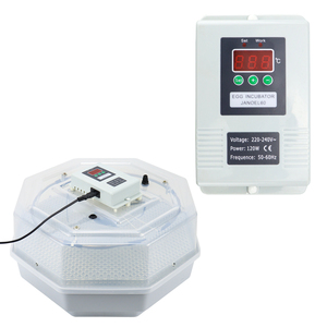 Incubateur <span class=keywords><strong>automatique</strong></span> <span class=keywords><strong>Janoel</strong></span> pour 42 œufs, en ABS et PP, grand incubateur pour ferme, canard, poulet, oiseau - Product Image 2