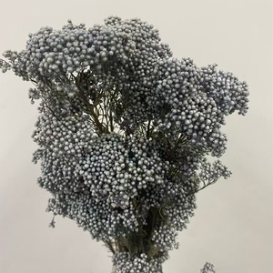 Fleurs séchées naturelles <span class=keywords><strong>bouquet</strong></span> de fleurs de riz éternel conservé <span class=keywords><strong>frais</strong></span> immortel millet fleur décor de fête de mariage décoration de la maison - Product Image 6
