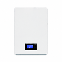 Batterie LiFePO4 51,2 V 102 Ah 5,12 kWh, système de stockage d'énergie solaire mural pour la maison, alimentation de secours solaire
