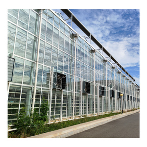 <span class=keywords><strong>Serre</strong></span> <span class=keywords><strong>en</strong></span> verre Venlo de grande taille pour l'agriculture commerciale <span class=keywords><strong>en</strong></span> plein air, de haute qualité, kit complet, fourniture professionnelle, multi-spans, UV - Product Image 1