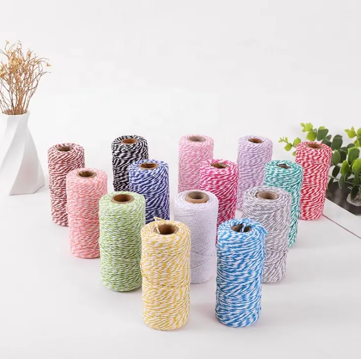 Fabriek Directe Verkoop Decoratieve Twisted 100% Katoen Macrame Koord Kleurrijke Twine String