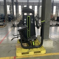 Équipement de musculation de haute qualité, export direct d'usine, équipement de fitness commercial et domestique, machine pour biceps et triceps avec garantie