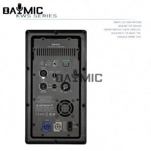 Module d'amplificateur de puissance actif de classe D 1000W avec logo OEM gratuit pour haut-parleur de subwoofer de 18 pouces - Product Image 5