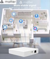 Matter Bridge compatible con Apple Homekit Smart Home Hub para dispositivos de protocolo Matter integrados con Thread Wifi Router Gateway