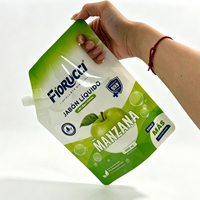 Pochette à bec verseur en PET imprimée sur mesure avec trou de poignée pour l'emballage de recharge de savon liquide ménager et de lessive