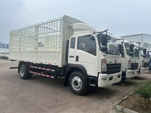 <span class=keywords><strong>Camion</strong></span> de fret léger SINOTRUK 8-12T avec côtés rabattables et auvent en maille - Product Image 2