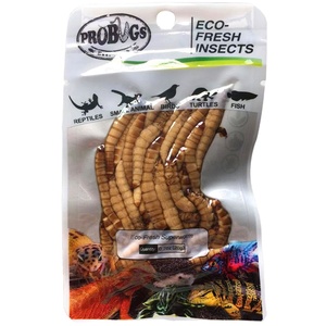 Sterilizzazione fisica e conservazione Eco Fresh Supperworm molitor muffa per geco cibo Torosfish pasto - Product Image 1