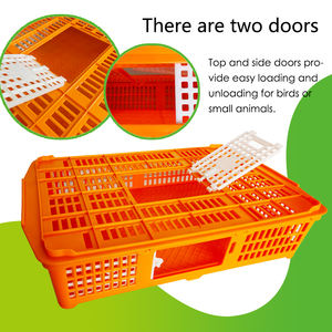 QA Plastic Kleine Pluimvee Broiler Duifkooi Kippenkratten Kwartelkuiken Transportkrat - Product Image 3