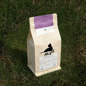 Bolsa de Embalaje de Café con Fondo Plano, de Papel de Arroz Transparente y Translúcido, con Válvula y Logotipo Personalizado - Product Image 6