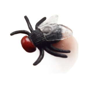 Jouet de farce en plastique amusant et effrayant (mouche, cafard, mille-pattes, scorpion, araignée) pour le Poisson d'avril, accessoires de magie de close-up - Product Image 5