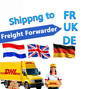 CDT, Agente de Transporte de Carga Profesional, Servicios Logísticos DDP DDU, Envío desde China a Estonia, Eslovenia, Finlandia y Grecia - Product Image 6