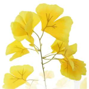 Arbre de <span class=keywords><strong>Ginkgo</strong></span> artificiel pour la décoration intérieure - Arbre de <span class=keywords><strong>Ginkgo</strong></span> <span class=keywords><strong>biloba</strong></span> artificiel réaliste en pot sur pied pour le salon, le bureau - Product Image 5