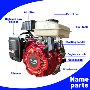 Оптовая продажа: Бензиновый двигатель TLJ 3.5 л.с., одноцилиндровый, с воздушным охлаждением, OHV, 4-тактный, для квадроциклов, мини-картингов и сельскохозяйственных опрыскивателей - Product Image 6