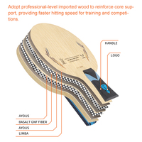 Raquette de ping-pong LOKI RXTON 9 Pro Inner Basalt GNF Fiber Limba Ayous 6.0mm, lame de tennis de table équilibrée pour l'offensive et la défense