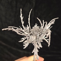 Pièces en aluminium et acier inoxydable imprimées en 3D par SLM / Maquette de fichiers STL Gaojie, fabricant de prototypes rapides en métal et plastique pour impression 3D