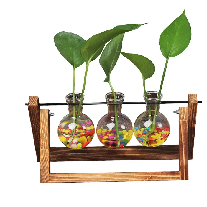 Personalizado Bola Transparente Hidropônico Vaso Para Decoração de Casa, Decoração de Madeira Feitos À Mão Flor Bolha Reciclado Claro Vaso de Vidro/Vaso