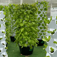 Tour d'irrigation verticale hydroponique en gros pour jardin intérieur, système de culture intelligent, serre, tour à ananas