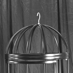 BDSM meubles grande cage à oiseaux retenue esclave salle d'entraînement accessoires SM emprisonnement fer Cage suspendu Cage outils sexuels - Product Image 4