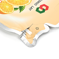 Sachet Doypack Personnalisé OEM avec Logo, Support Intégré pour Paille, en PET et Feuille d'Aluminium, pour Jus, Boissons et Liquides, Qualité Alimentaire