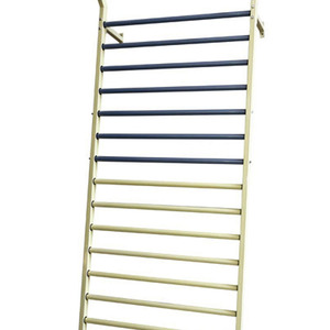 Jinyu Fitness Training <b>Ladder</b> 100x50x222cm Steel Indoor Rehabilitation Equipment - Product Image 1