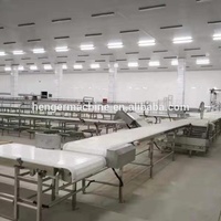 Automatische vleesverwerkingslijn industrieel vleesverwerkings transportsysteem voor de verwerking van rundvlees, varkensvlees en kip in een vleesverwerkingsbedrijf