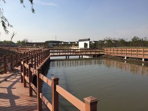 Hấp Dẫn Mới loại composite gạch decking Lumber liquidators Composite decking boong đồ nội thất ngoài trời - Product Image 2