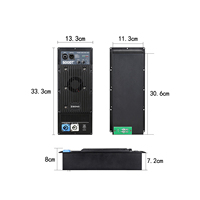 Module d'amplificateur actif professionnel en métal, plaque d'amplificateur de classe D 500W pour équipement audio de subwoofer