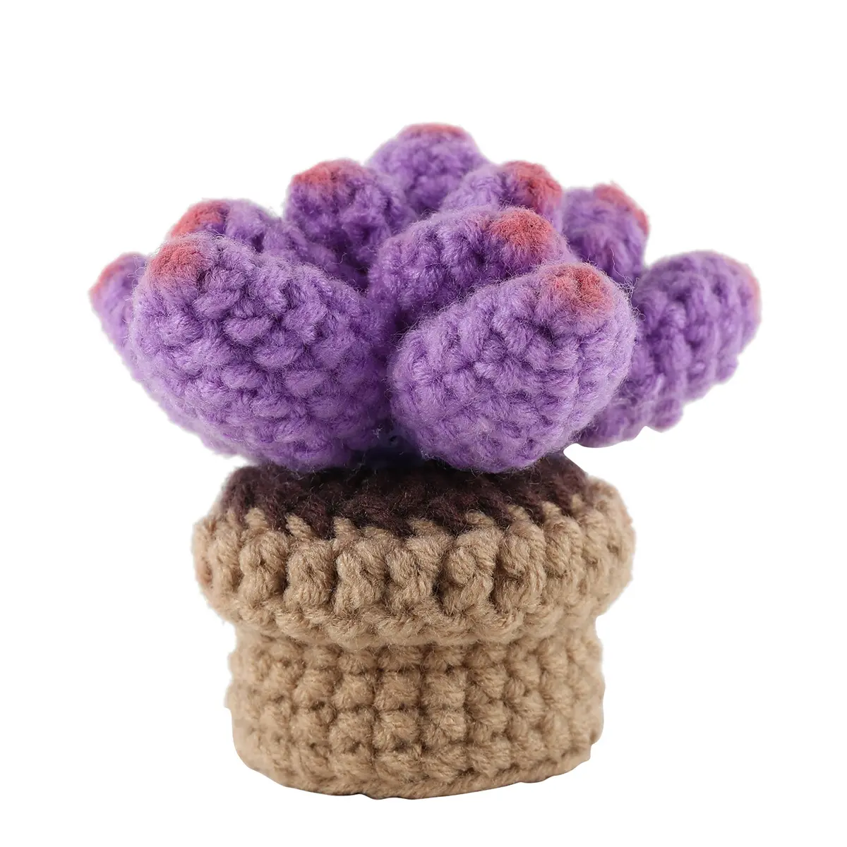 5pcs Green Plant Beautiful Cactus Crochet And Knitting Kits crochet Kit For Beginners With Yarn Set Kit Home Decoration Pattern