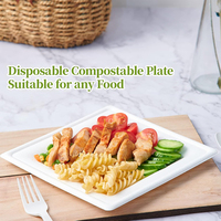 Assiette carrée jetable de 10 pouces en bagasse de canne à sucre, biodégradable, saine et compostable