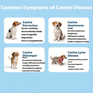 Thú y thiết bị distemper/hepatits Combo kiểm tra - Product Image 5