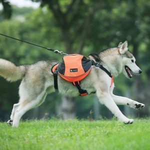 Ayarlanabilir açık yürüyüş Pet köpek sırt çantası Oxford malzeme fermuar katı köpek koşum taşıyıcı seyahat için moda rahat - Product Image 3